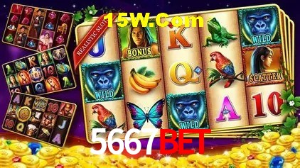 5667Bet Brasília - Leaderboards